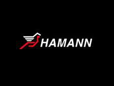 Компания « Hamann Motosport»